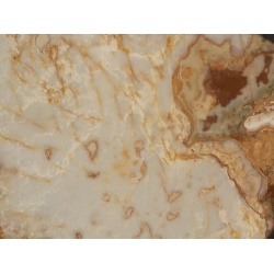 exotic_white_and_brown_onyx_slabs