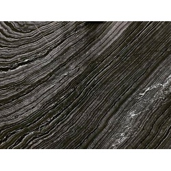 jurassic_black_marble_slab_polished