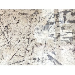 patagonia_granite_slab_patchy