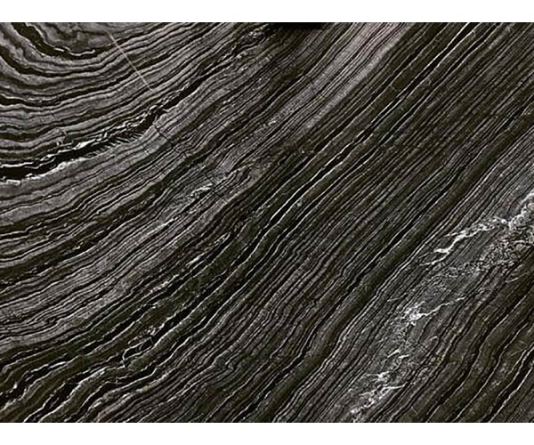 jurassic_black_marble_slab_polished