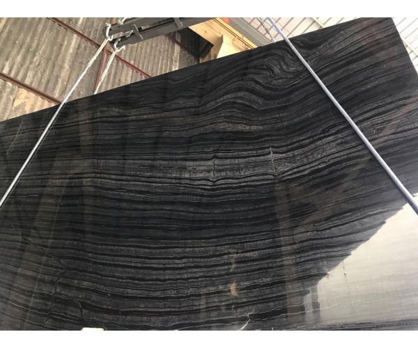 jurassic_black_marble_slab_polished3